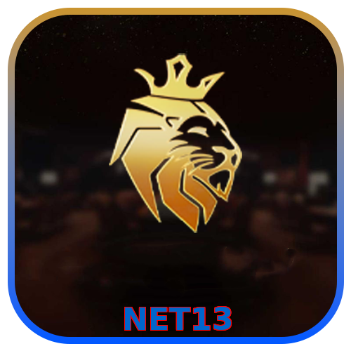 NET13